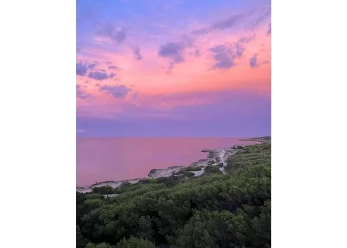 Marina Park Tatil Evi Cala Millor (Mallorca)