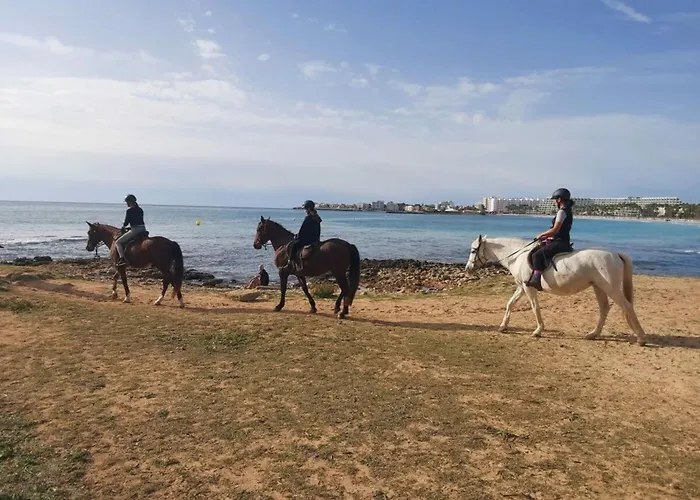 Marina Park Tatil Evi