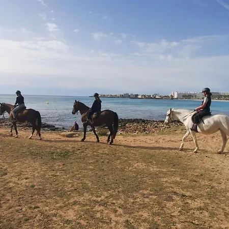 Marina Park بيت للعطل